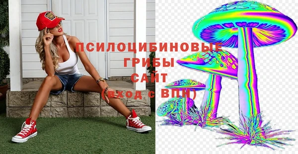 дмт Няндома