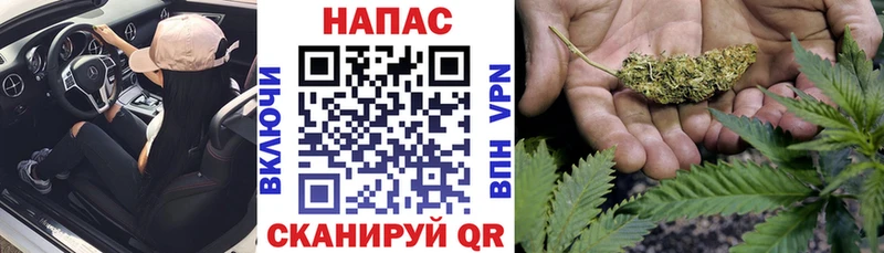 мега ССЫЛКА  где найти наркотики  Приволжск  Бошки марихуана ГИДРОПОН 